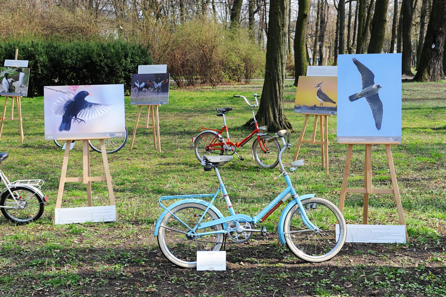 PTASIA WYSTAWA ROWEROWA